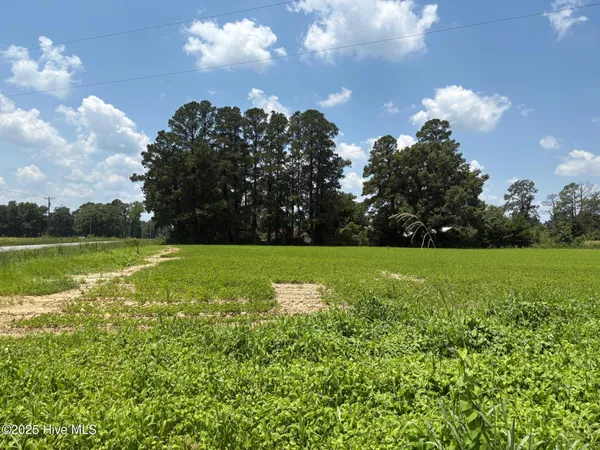 $124,000 | -near James B White Highway North, Clarkton, NC 28433
