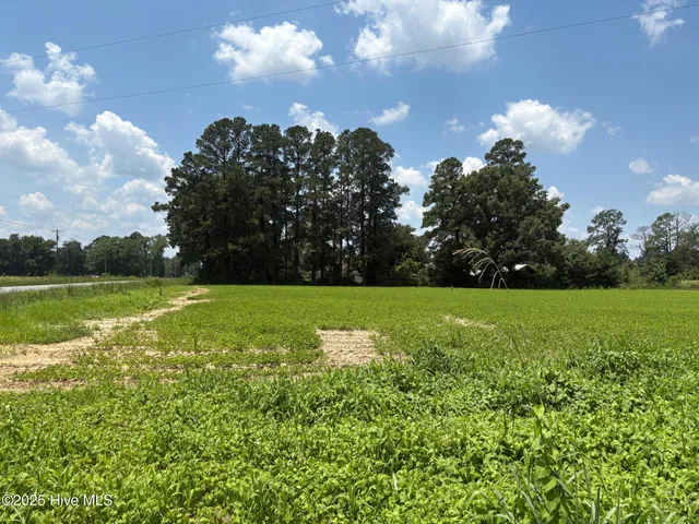 $124,000 | -near James B White Highway North, Clarkton, NC 28433