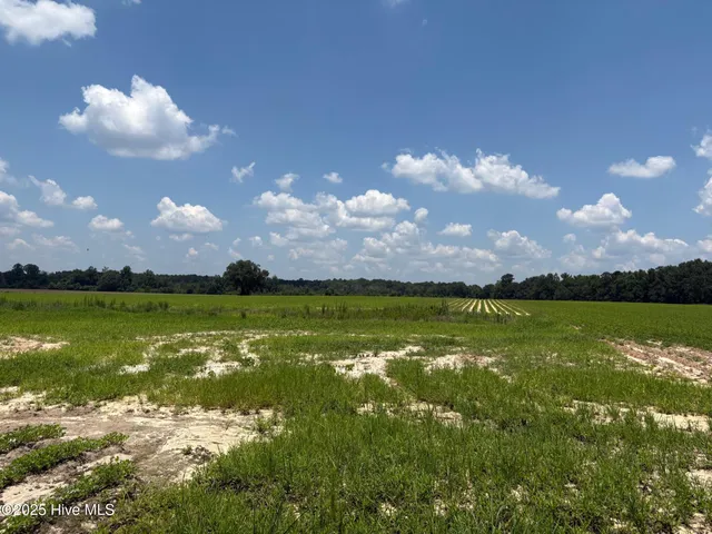 $124,000 | -near James B White Highway North, Clarkton, NC 28433