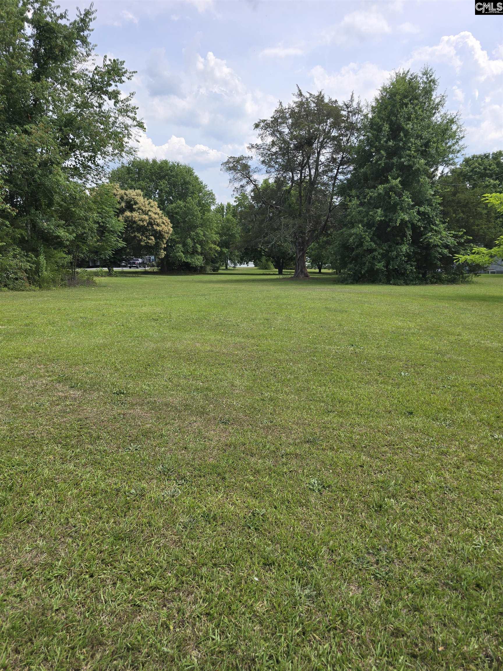 Tbd Harvest Road Saluda, SC 29138 - Photo 3 of 7 a view of yard with green space