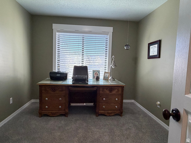 202 375 West Providence, UT 84332 - Photo 18 of 61 Office/beadroom featuring dark carpet great southern window and a closet