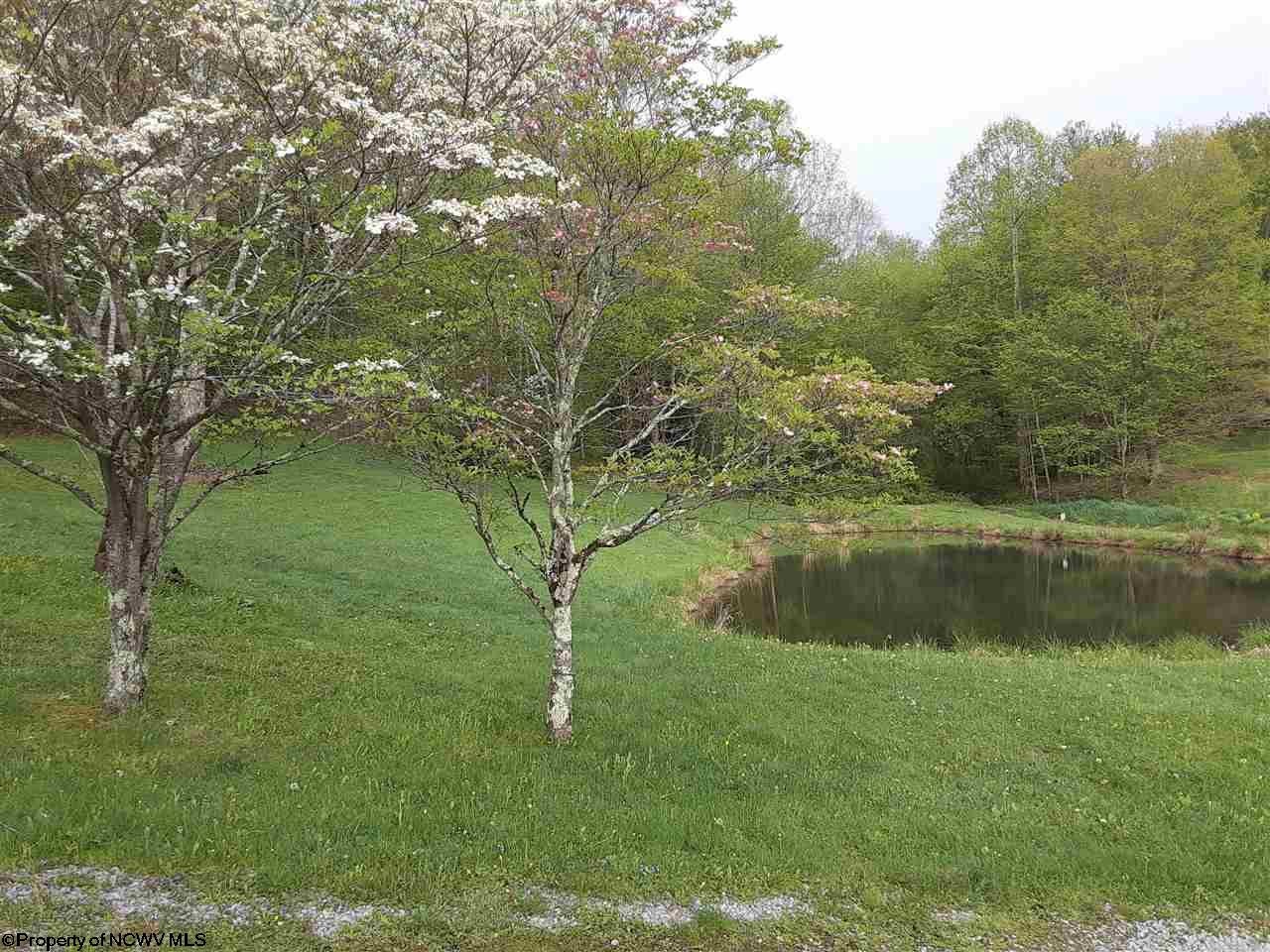 10046 Georgetown Road Beverly, WV 26253 - Photo 3 of 17 Gallery Image 3