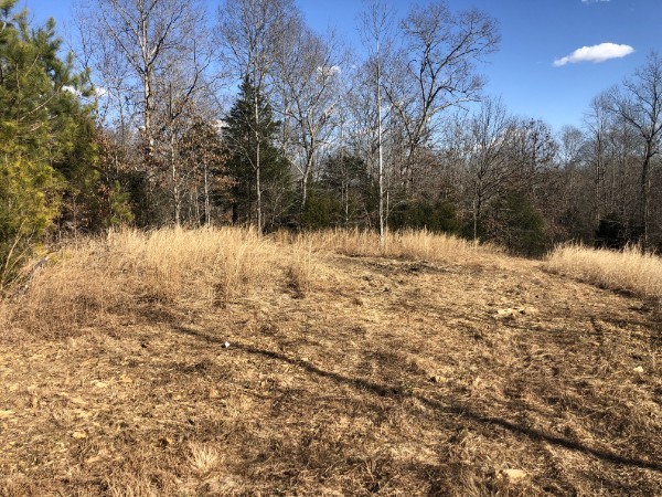 1455 Hillcrest Road Dickson, TN 37055 - Photo 14 of 17 Gallery Image 14