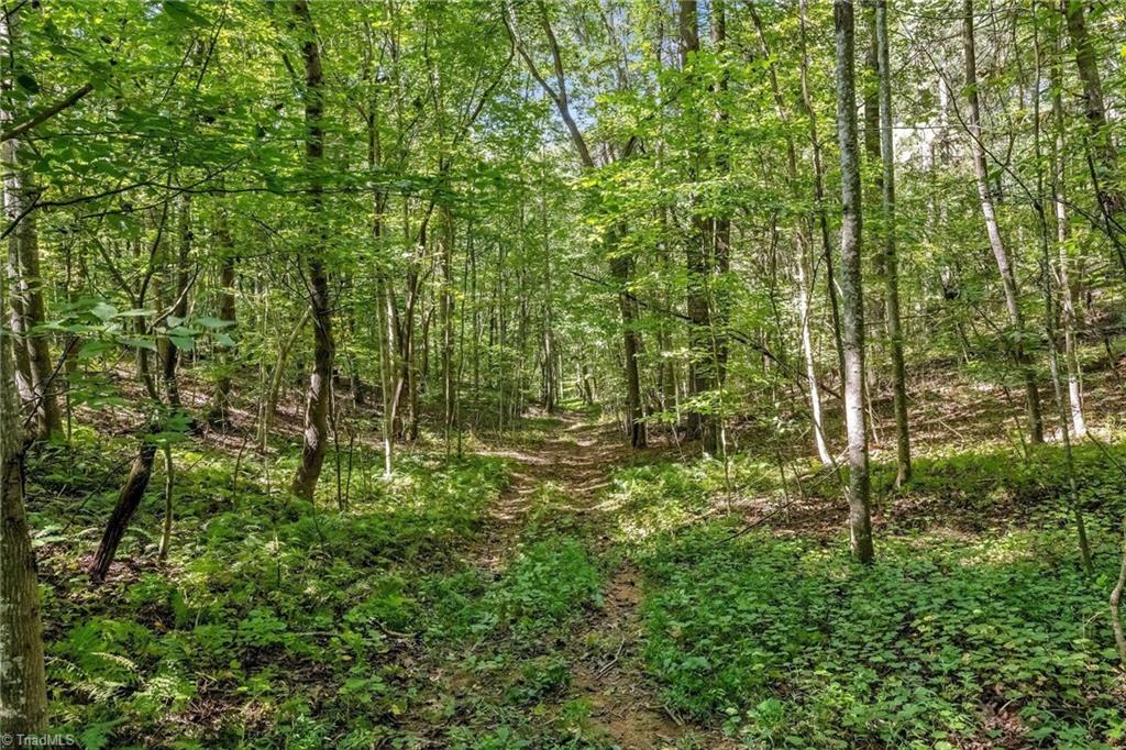 900 Brown Ridge Road Wilkesboro, NC 28697 - Photo 39 of 39