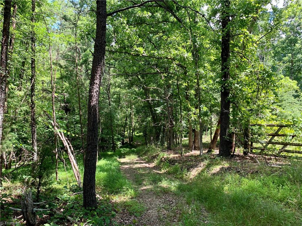 1665 Mission Road Danbury, NC 27016 - Photo 13 of 50 on lot, looking down 30' easement