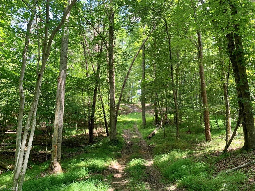 1665 Mission Road Danbury, NC 27016 - Photo 14 of 50 on lot, looking down 30' easement