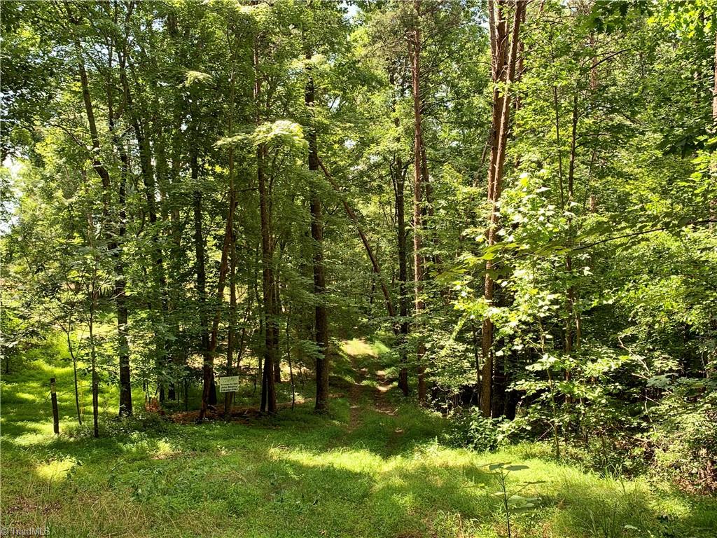 1665 Mission Road Danbury, NC 27016 - Photo 15 of 50 on easement