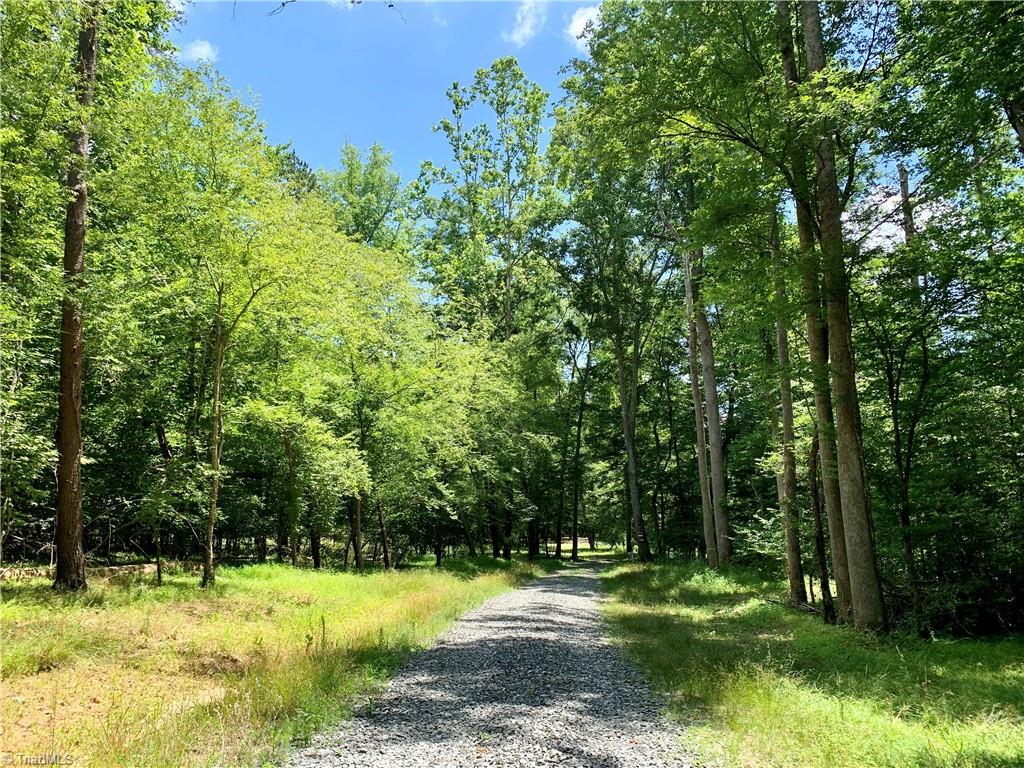 1665 Mission Road Danbury, NC 27016 - Photo 18 of 50 private gravel driveway to lot