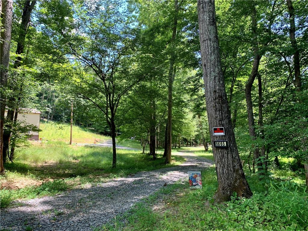 1665 Mission Road Danbury, NC 27016 - Photo 19 of 50 gravel drive, entrance to lot beside river