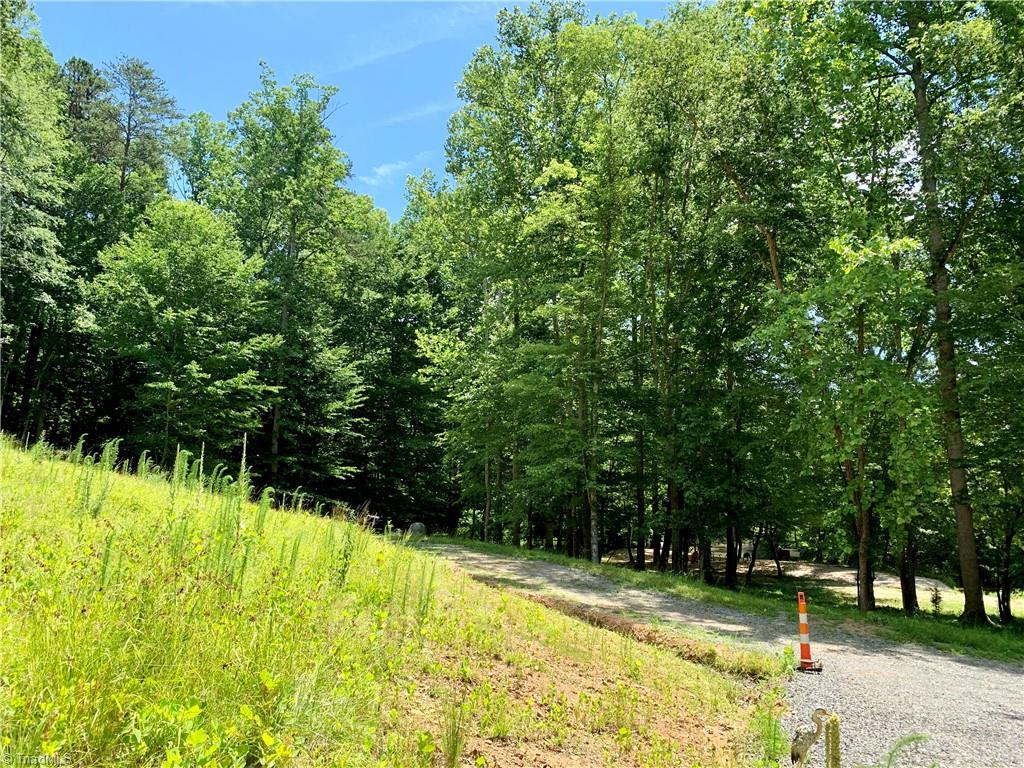 1665 Mission Road Danbury, NC 27016 - Photo 22 of 50 circular driveway