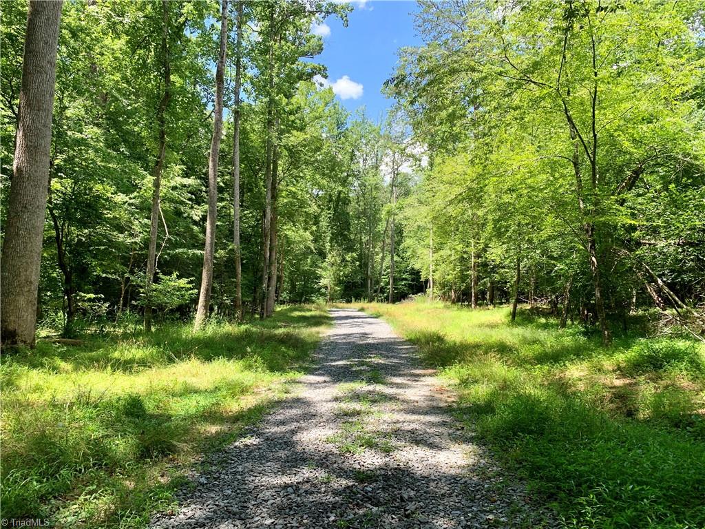 1665 Mission Road Danbury, NC 27016 - Photo 38 of 50 standing at entrance looking back on private gravel driveway that serves this lot