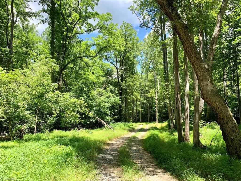 1665 Mission Road Danbury, NC 27016 - Photo 39 of 50 private gravel driveway that serves this lot