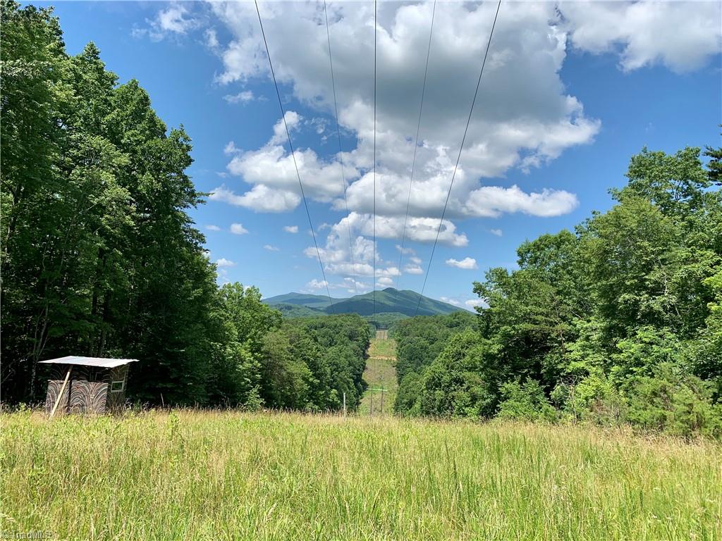 1665 Mission Road Danbury, NC 27016 - Photo 7 of 50 on lot, looking west town powerline