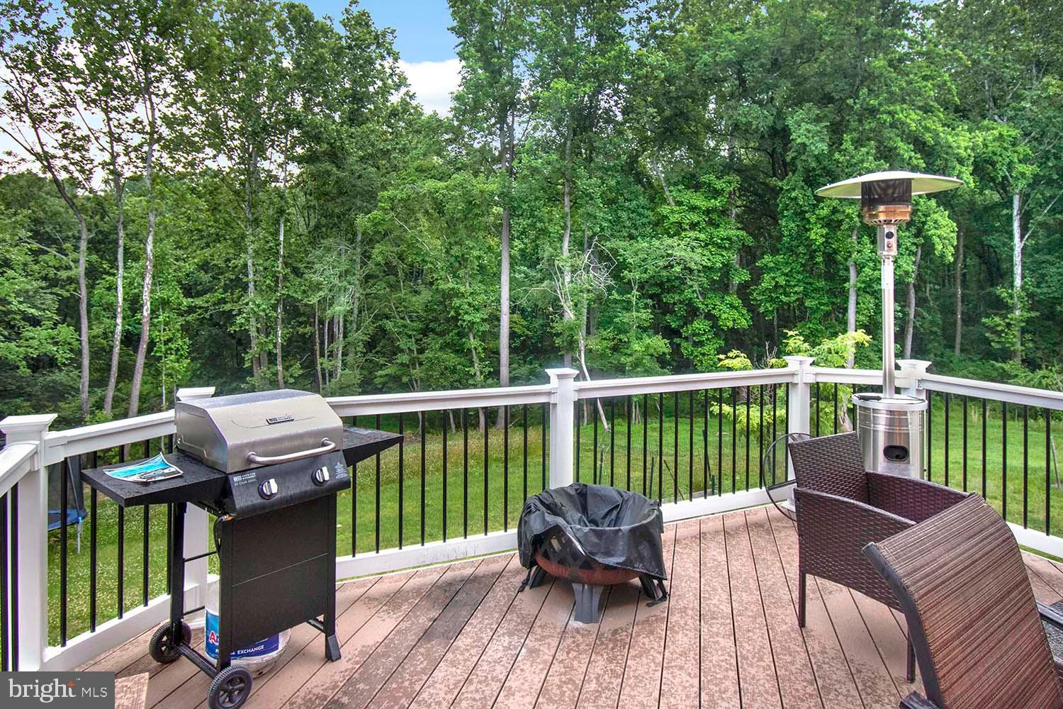 6200 Oglethorpe Mill Drive Brandywine, MD 20613 - Photo 44 of 48 Deck BarBQ area