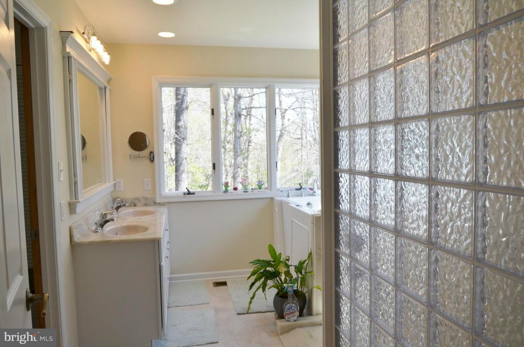 10464 Garnets Mill Loop King George, VA 22485 - Photo 27 of 30 Bath (Master)