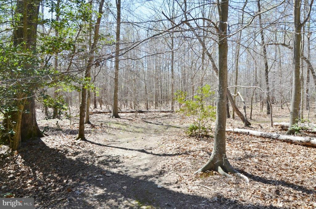 10464 Garnets Mill Loop King George, VA 22485 - Photo 6 of 30 View