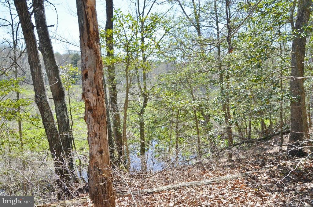 10464 Garnets Mill Loop King George, VA 22485 - Photo 7 of 30 View