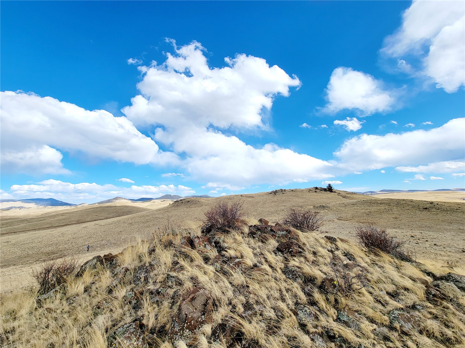 3999 Delaware Road Hartsel, CO 80449 - Photo 8 of 23 Mountain view