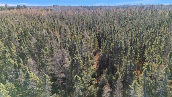 $49,900 | Tbd Hill Road, Cromwell, MN 55726