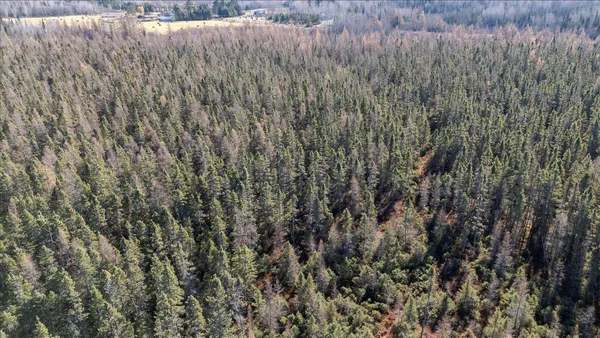 $49,900 | Tbd Hill Road, Cromwell, MN 55726