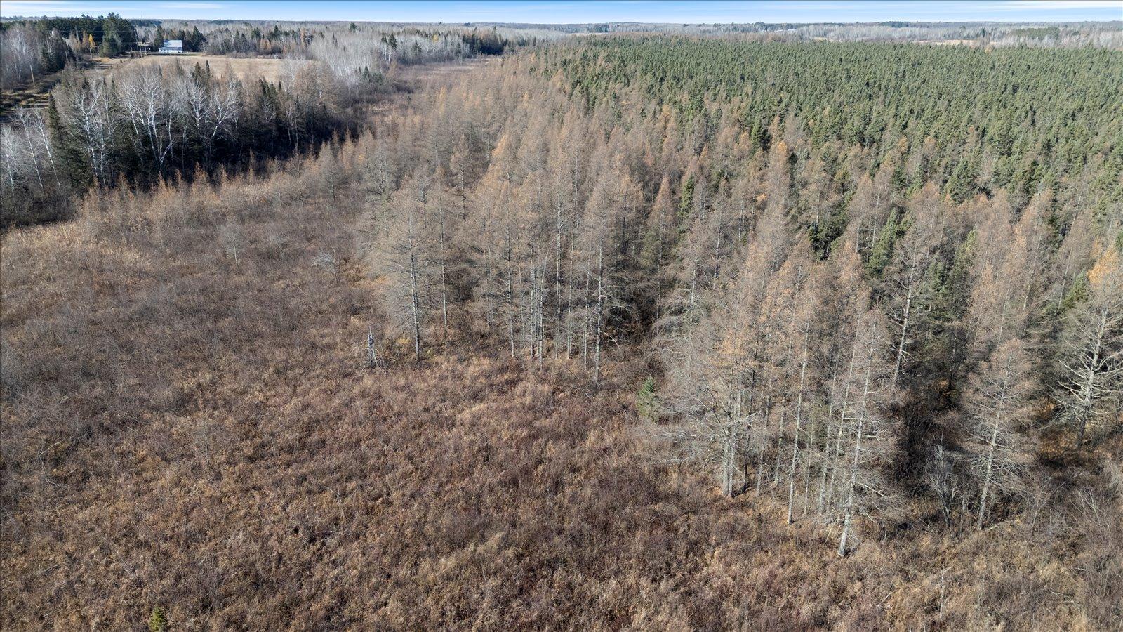 Tbd Hill Road Cromwell, MN 55726 - Photo 8 of 12