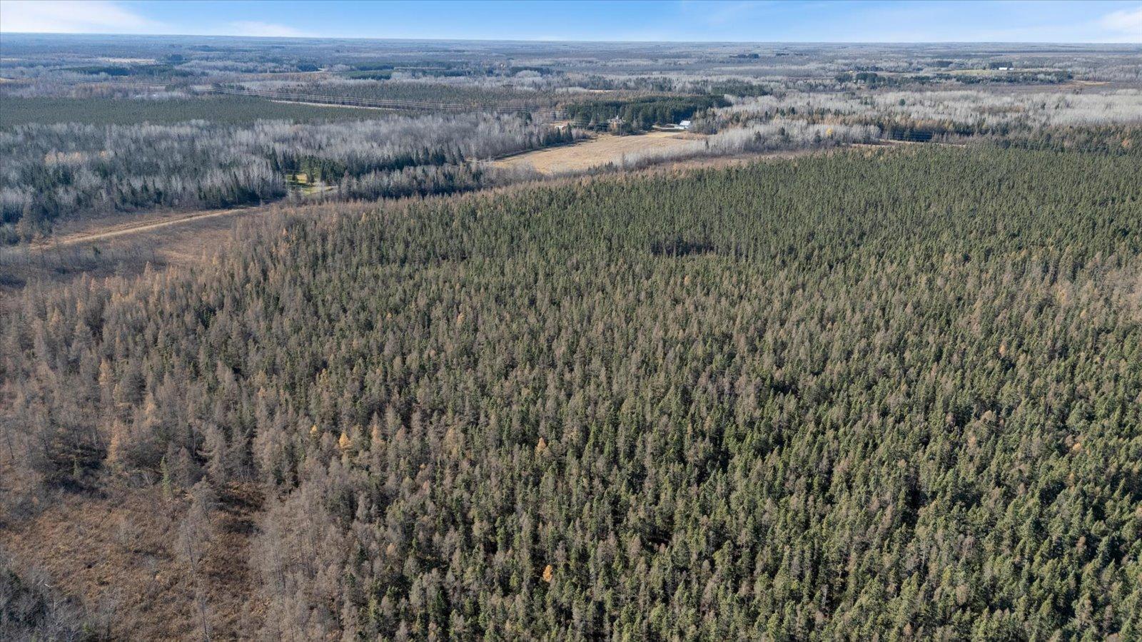 Tbd Hill Road Cromwell, MN 55726 - Photo 9 of 12