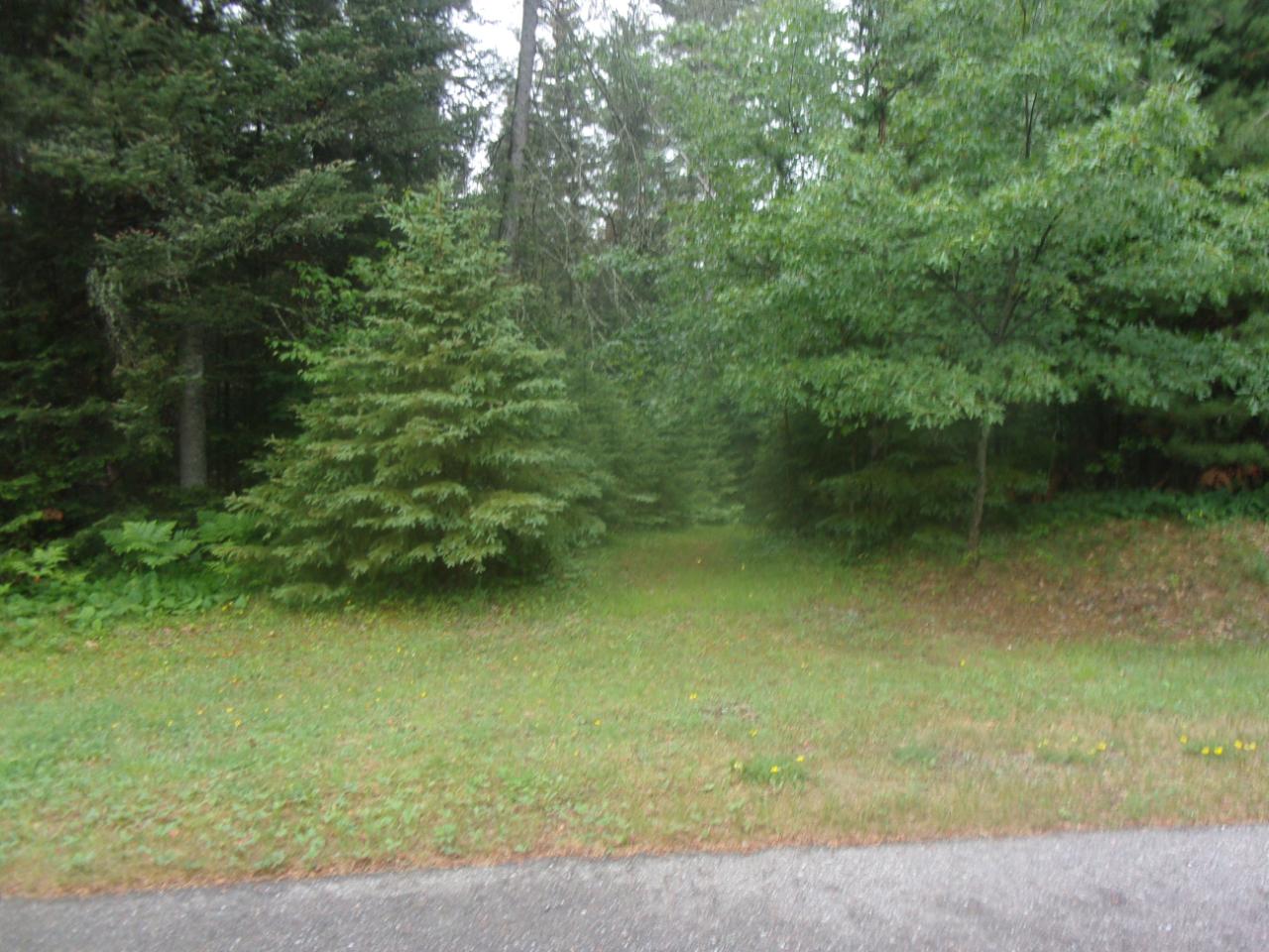 Lot 14 Ryan Rpds Bluff Rhinelander, WI 54501 - Photo 2 of 6 Gallery Image 2