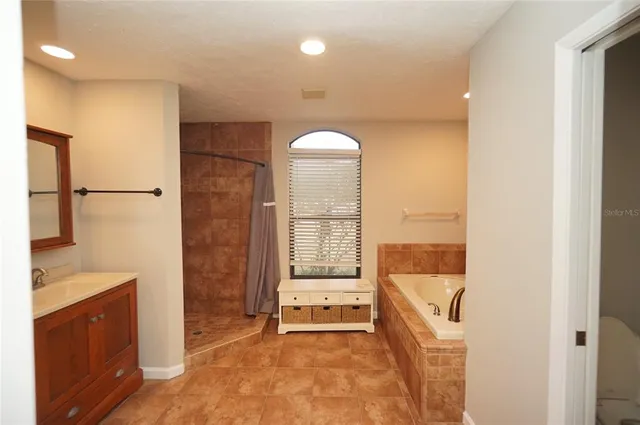 a view of backyard and tree