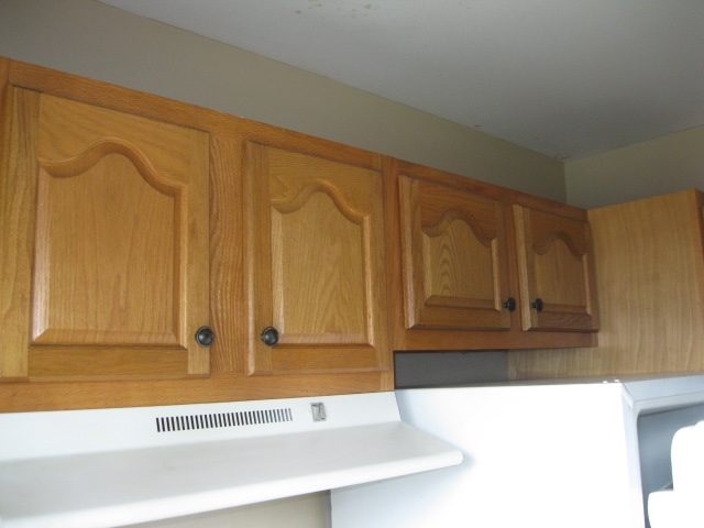 11420 Canal Road Sterling Heights, MI 48314 - Photo 4 of 28 50026097-4.JPG