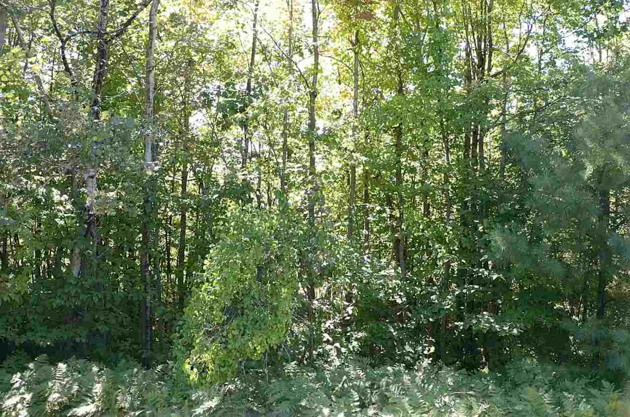 0 Sargent Road New London, NH 03257 - Photo 3 of 10 Gallery Image 3