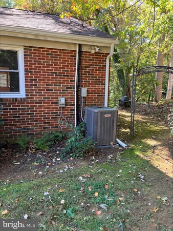 a view of a backyard with plants