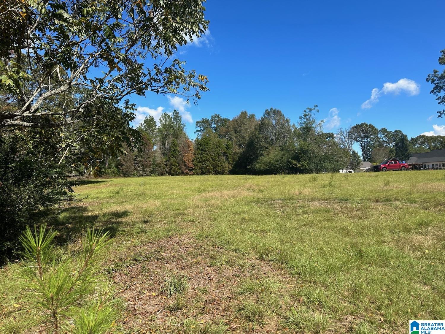 30517 Straughn School Road Andalusia, AL 36421 - Photo 4 of 6