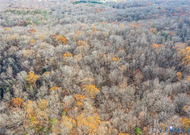 a view of a dry yard