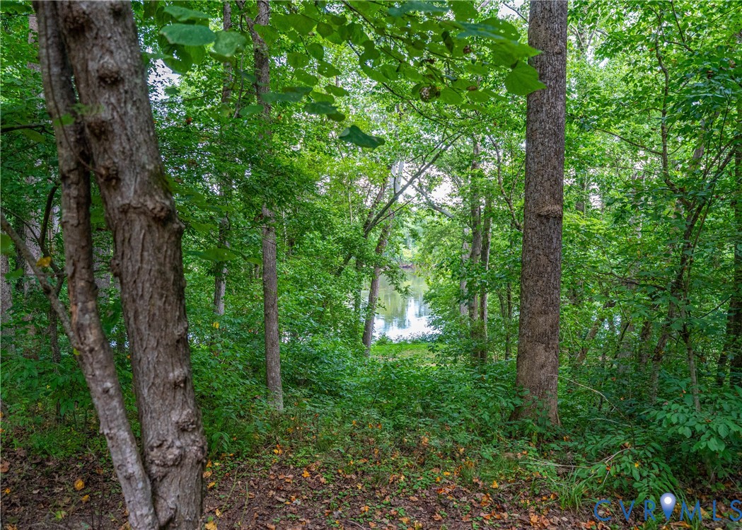 176 Ampthill Road Cartersville, VA 23027 - Photo 2 of 22 a view of lush green forest
