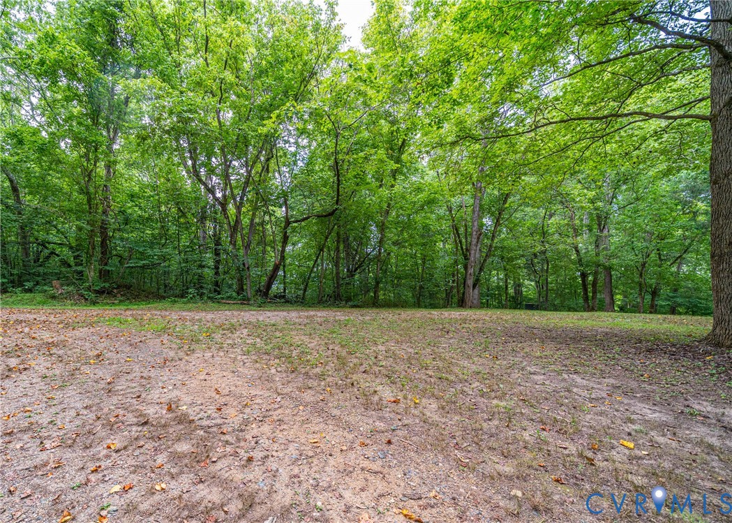 176 Ampthill Road Cartersville, VA 23027 - Photo 3 of 22 a view of a yard with a trees