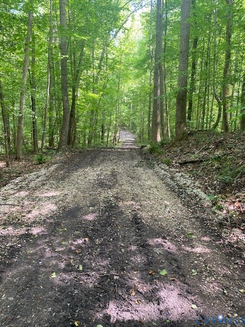 176 Ampthill Road Cartersville, VA 23027 - Photo 6 of 22 a view of a forest with trees in the background