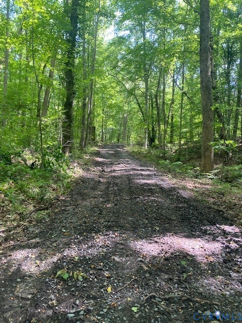 176 Ampthill Road Cartersville, VA 23027 - Photo 9 of 22 a backyard of a house with lots of green space