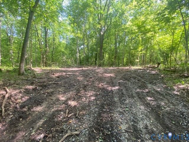 176 Ampthill Road Cartersville, VA 23027 - Photo 10 of 22 a view of a yard with large trees