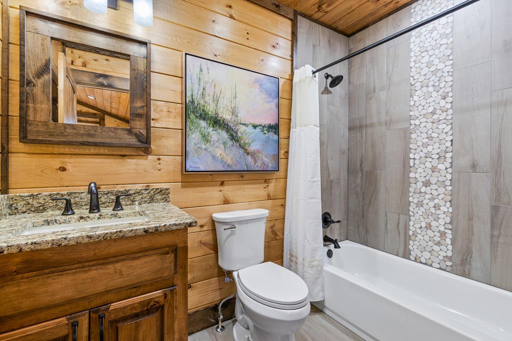 340 Hope Drive Blue Ridge, GA 30513 - Photo 40 of 77 Gallery Image 40
