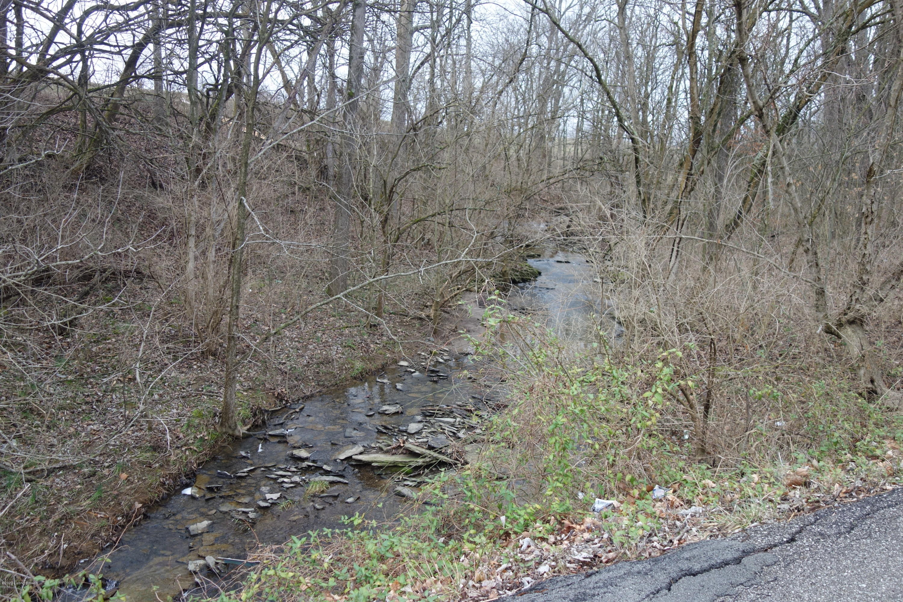 Tra Harley-Thompson Road Bagdad, KY 40003 - Photo 2 of 2 HarleyStream