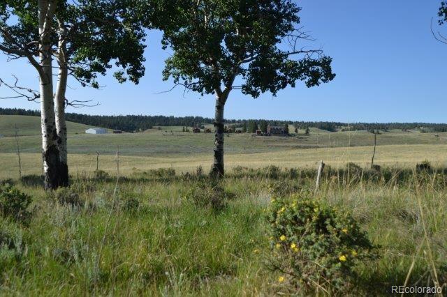 0 Robin Hood Rd Divide Divide, CO 80814 - Photo 11 of 33