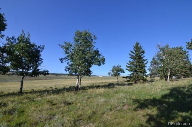 0 Robin Hood Rd Divide Divide, CO 80814 - Photo 12 of 33