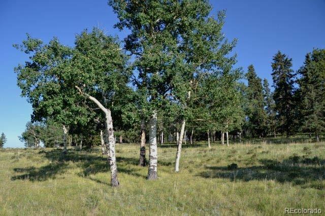 0 Robin Hood Rd Divide Divide, CO 80814 - Photo 13 of 33