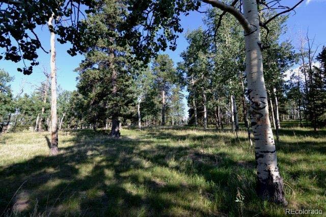 0 Robin Hood Rd Divide Divide, CO 80814 - Photo 14 of 33