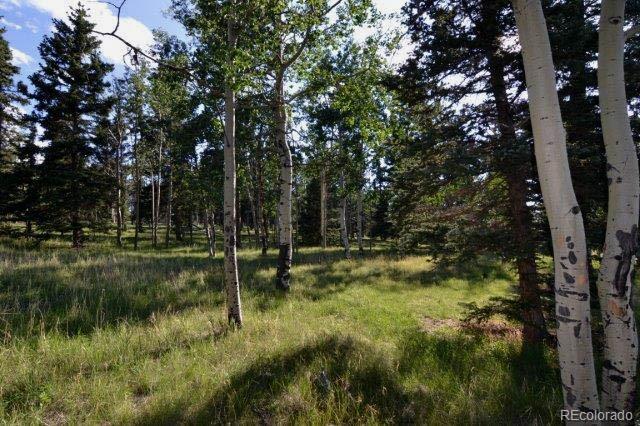 0 Robin Hood Rd Divide Divide, CO 80814 - Photo 15 of 33