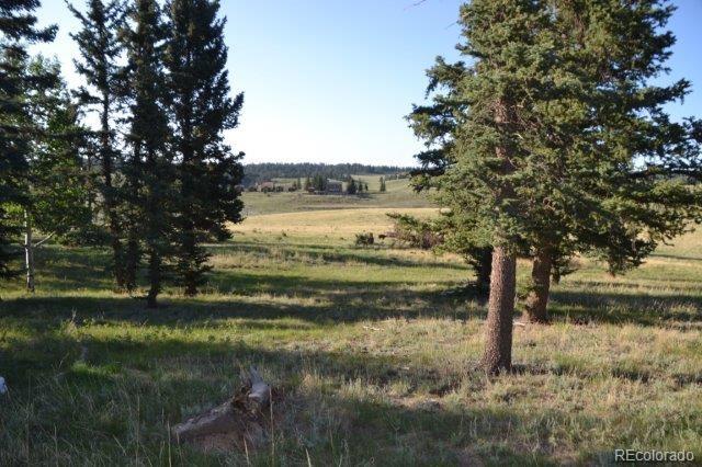 0 Robin Hood Rd Divide Divide, CO 80814 - Photo 18 of 33