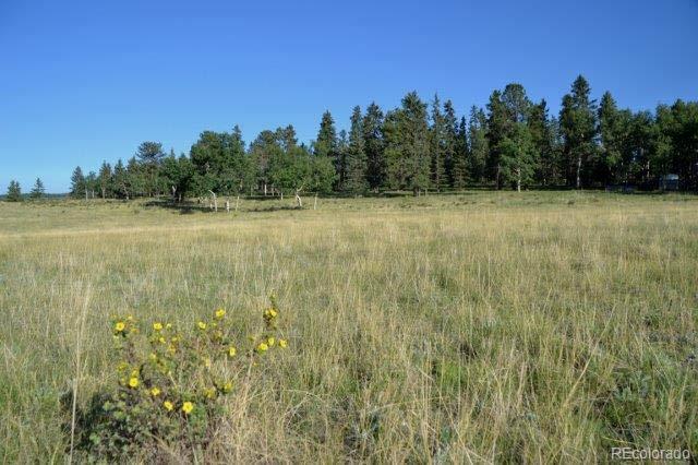 0 Robin Hood Rd Divide Divide, CO 80814 - Photo 20 of 33
