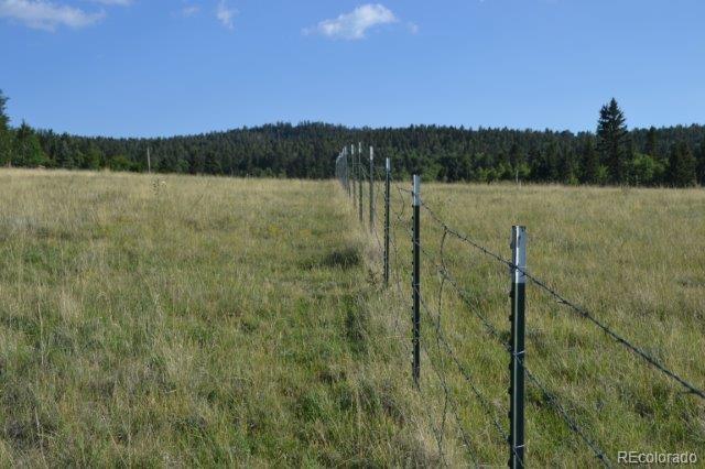 0 Robin Hood Rd Divide Divide, CO 80814 - Photo 21 of 33