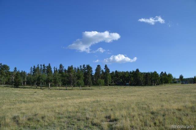 0 Robin Hood Rd Divide Divide, CO 80814 - Photo 3 of 33