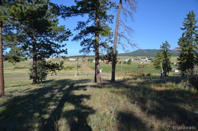 0 Robin Hood Rd Divide Divide, CO 80814 - Photo 32 of 33